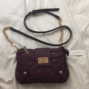 Charming Charlies Purse